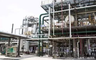 e鹽資訊 江蘇已關停多家化工企業,然鵝只是開始