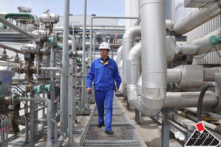 選專業(yè)的日子到了 你當(dāng)時咋就選了化工