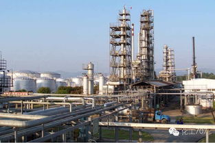 致化工學(xué)弟學(xué)妹 在知識(shí)中沉淀，在創(chuàng)新中前行