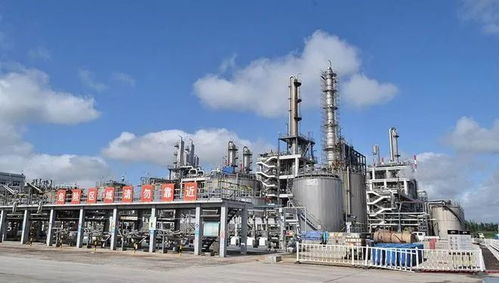 青島海灣精細(xì)化工熱電廠倉(cāng)庫(kù)2.14火災(zāi)事故 一般事故的警示與責(zé)任